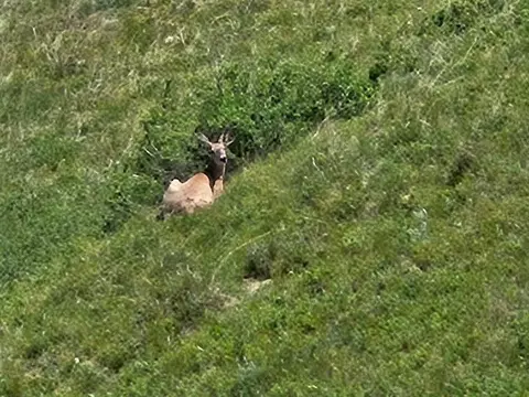 tbd 152nd Pl, Box Elder, SD 57719 photo 31
