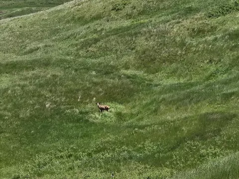 tbd 152nd Pl, Box Elder, SD 57719 photo 34