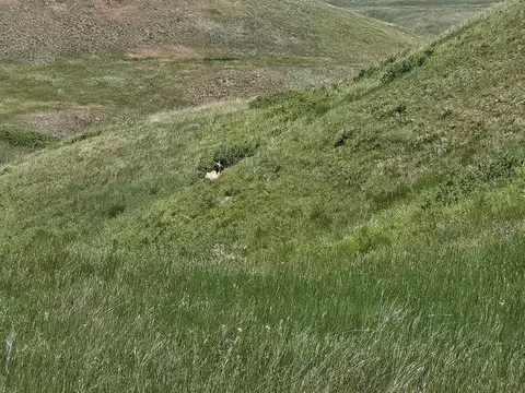 tbd 152nd Pl, Box Elder, SD 57719 photo 35