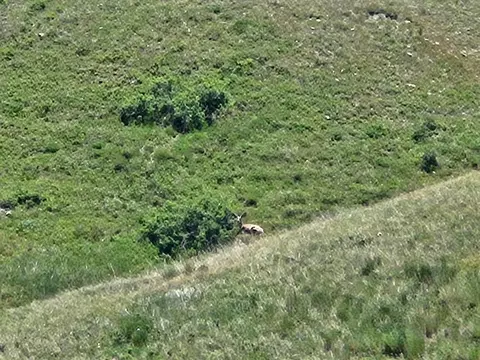 tbd 152nd Pl, Box Elder, SD 57719 photo 33