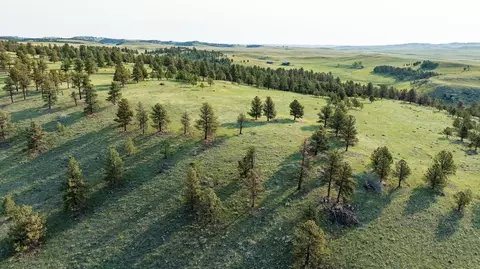 View/Area - Lame Johnny Road, Fairburn, SD 57738 photo 2 of 4