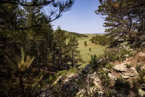 View/Area - Lame Johnny Road, Fairburn, SD 57738 photo 4 of 4