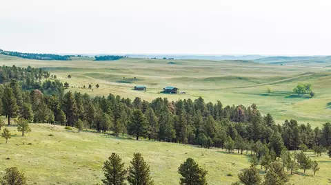 Other - Lame Johnny Road, Fairburn, SD 57738 photo 3 of 33