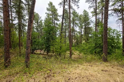 Tbd, Whitewood, SD 57793 photo 12