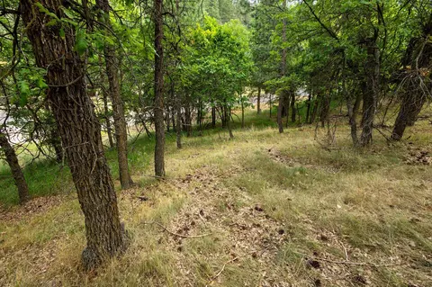 Tbd, Whitewood, SD 57793 photo 7
