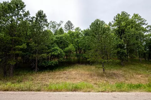 Tbd, Whitewood, SD 57793 photo 15
