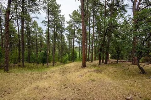 Tbd, Whitewood, SD 57793 photo 11