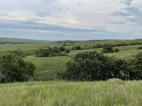 tbd Tract 6, White River, SD 57579 photo 22