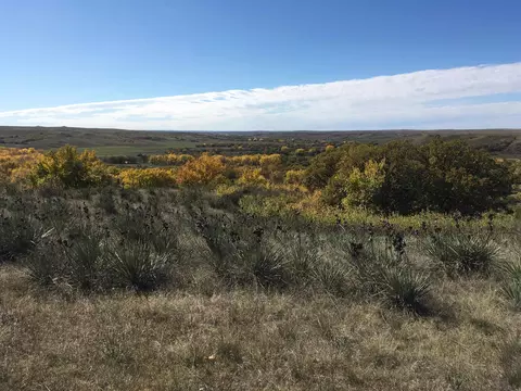 tbd Tract 6, White River, SD 57579 photo 4