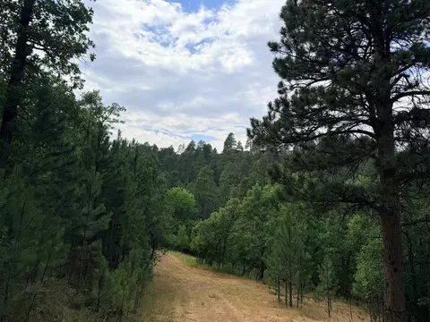 tbd Timberline Rd, Spearfish, SD 57783 photo 7