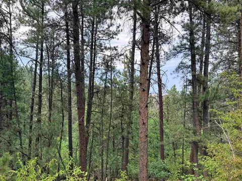 tbd Timberline Rd, Spearfish, SD 57783 photo 11