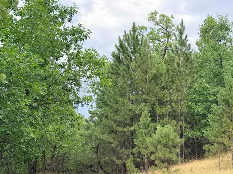 tbd Timberline Rd, Spearfish, SD 57783 photo 9