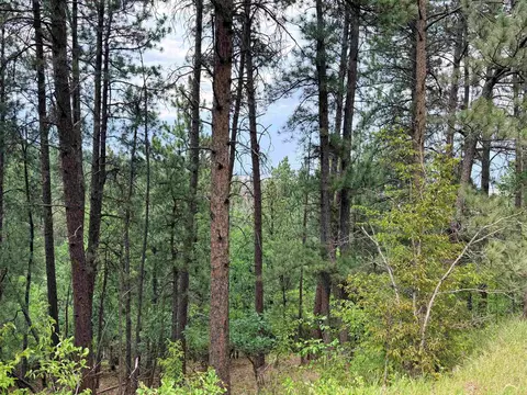 tbd Timberline Rd, Spearfish, SD 57783 photo 3
