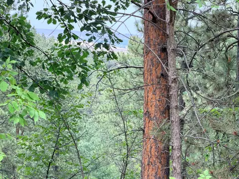 tbd Timberline Rd, Spearfish, SD 57783 photo 10
