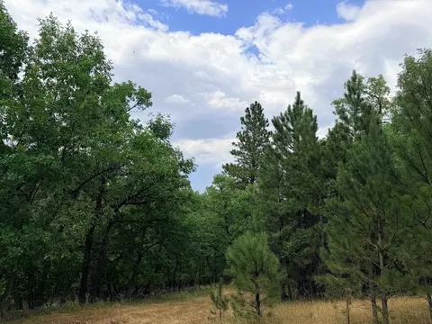 tbd Timberline Rd, Spearfish, SD 57783 photo 4