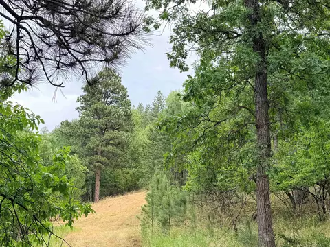 tbd Timberline Rd, Spearfish, SD 57783 photo 6