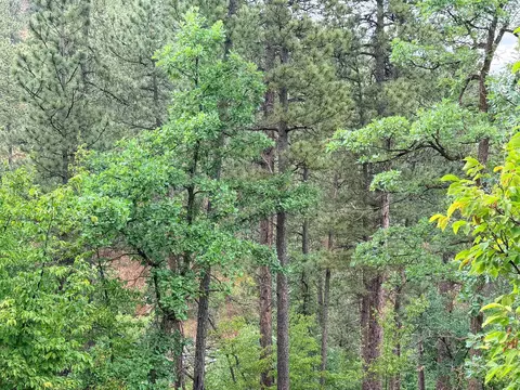 tbd Timberline Rd, Spearfish, SD 57783 photo 5