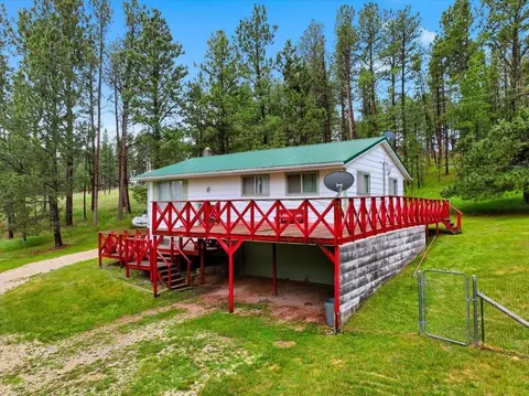 Exterior - 25015 Chandler Dr, Custer, SD 57730 photo 5 of 5