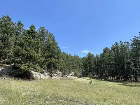 12325 Bonanza Rd, Custer, SD 57730 photo 22
