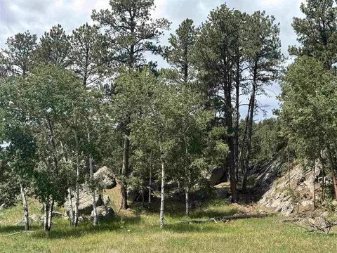 12325 Bonanza Rd, Custer, SD 57730 photo 18