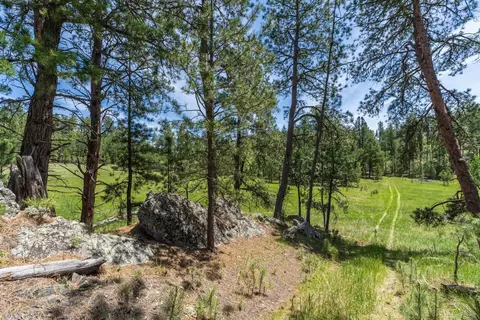 12325 Bonanza Rd, Custer, SD 57730 photo 12