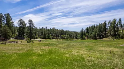 12325 Bonanza Rd, Custer, SD 57730 photo 16