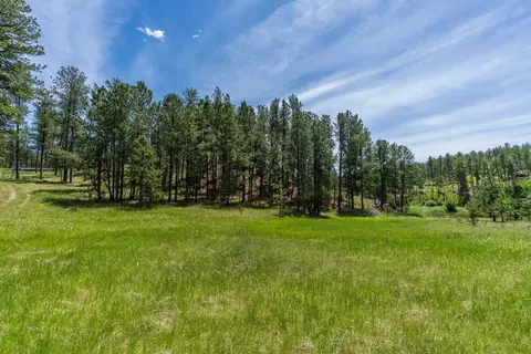 12325 Bonanza Rd, Custer, SD 57730 photo 17