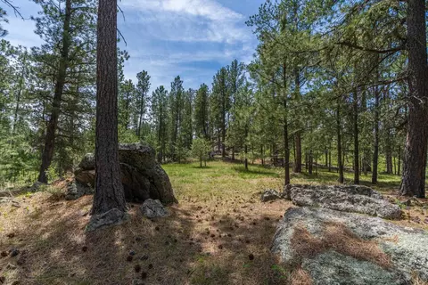 12325 Bonanza Rd, Custer, SD 57730 photo 15