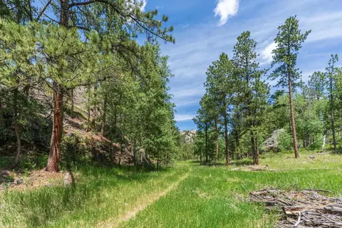 12325 Bonanza Rd, Custer, SD 57730 photo 9