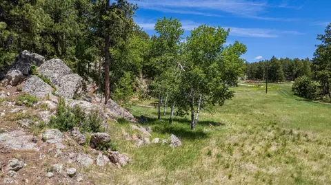 12325 Bonanza Rd, Custer, SD 57730 photo 20