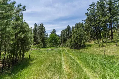 12325 Bonanza Rd, Custer, SD 57730 photo 7