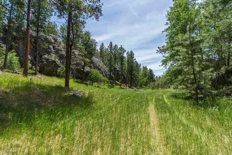 12325 Bonanza Rd, Custer, SD 57730 photo 10