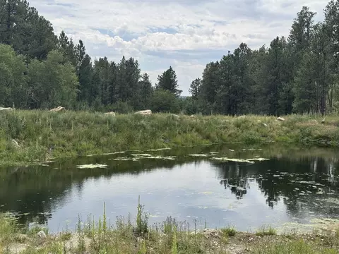 12325 Bonanza Rd, Custer, SD 57730 photo 3