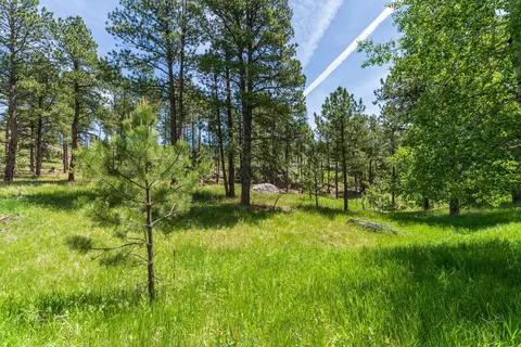 12325 Bonanza Rd, Custer, SD 57730 photo 11