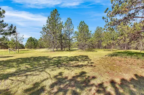 26738 Sd Hwy 89, Custer, SD 57730 photo 21