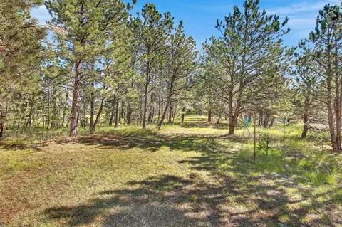 26738 Sd Hwy 89, Custer, SD 57730 photo 23