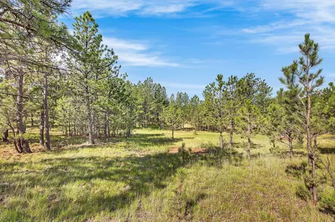 26738 Sd Hwy 89, Custer, SD 57730 photo 26