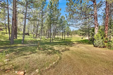 26738 Sd Hwy 89, Custer, SD 57730 photo 16