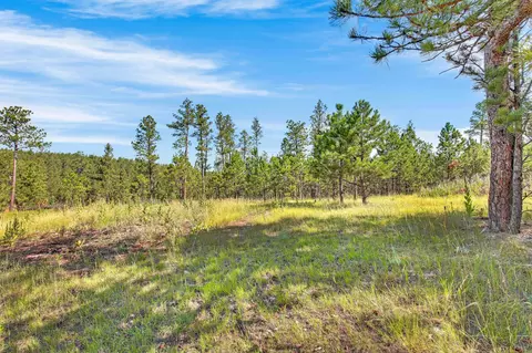 26738 Sd Hwy 89, Custer, SD 57730 photo 25
