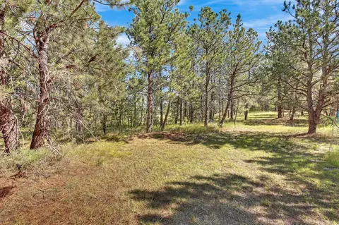 26738 Sd Hwy 89, Custer, SD 57730 photo 24