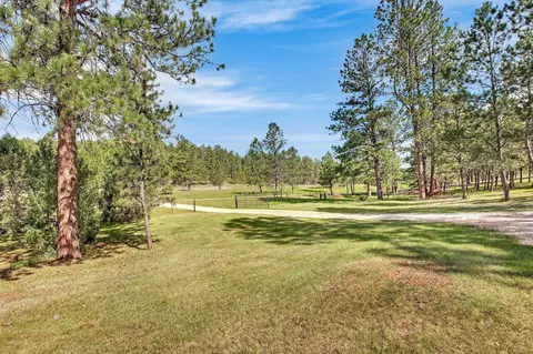 26738 Sd Hwy 89, Custer, SD 57730 photo 29