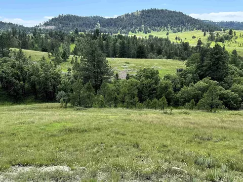 Tract 3 Painted Horse Road, Hulett, WY 82720