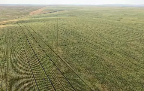 Other - tbd Erk Rd, Newell, SD 57760 photo 3 of 12