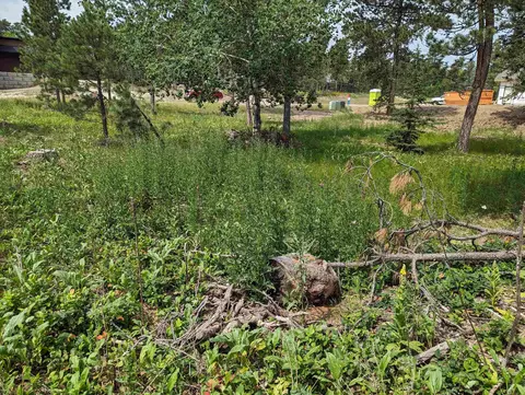 lot4 Block 3 Lantern Ln, Lead, SD 57754 photo 3