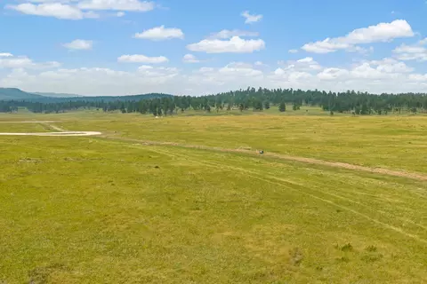 tbd War Bonnet Rd, Custer, SD 57730 photo 30
