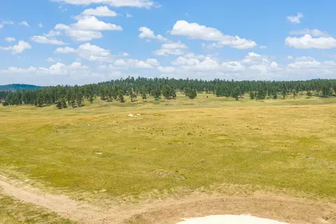 tbd War Bonnet Rd, Custer, SD 57730 photo 15