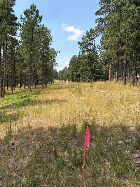lot5 Block 9 Overlook Pass, Lead, SD 57754 photo 6