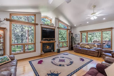 Living - 25246 Holiday Trl, Custer, SD 57730 photo 3 of 3