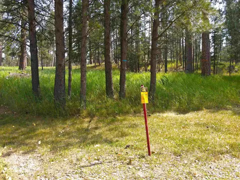 Other - 12718 Troxell Ln, Nemo, SD 57759 photo 2 of 4