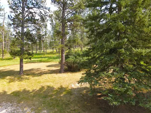 Other - 12718 Troxell Ln, Nemo, SD 57759 photo 4 of 4